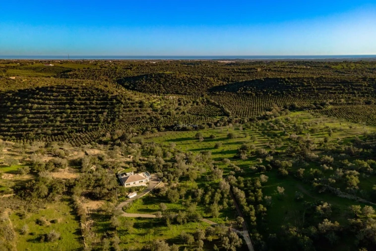 Moradia T3 para Venda em Santa Catarina da Fonte do Bispo Foto 31