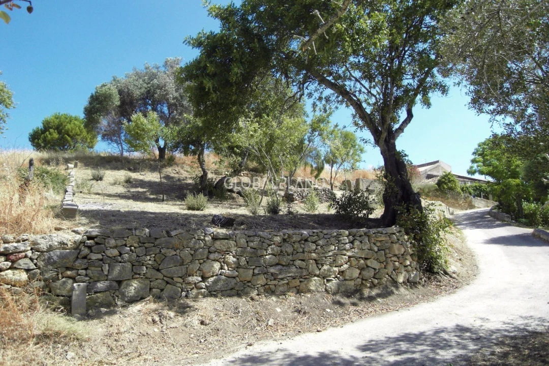Terreno para Venda em Mexilhoeira Grande Foto 4