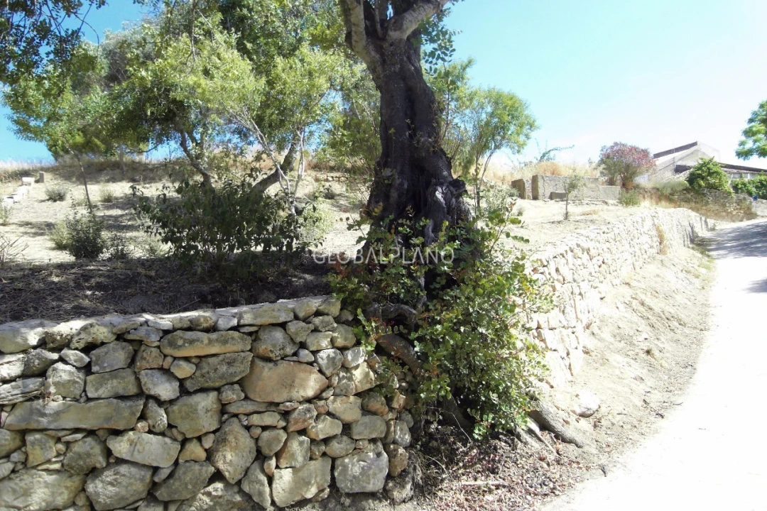 Terreno para Venda em Mexilhoeira Grande Foto 6