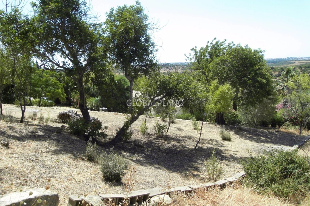 Terreno para Venda em Mexilhoeira Grande Foto 9