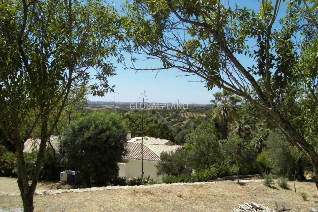 Terreno para Venda em Mexilhoeira Grande Foto 14