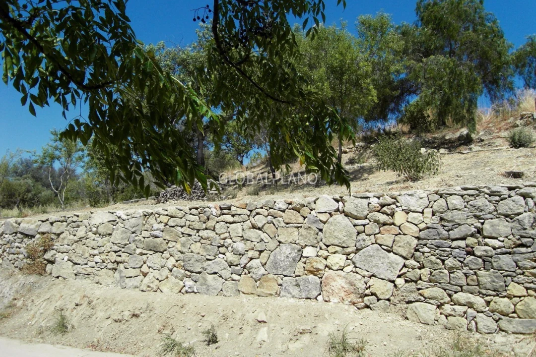 Terreno para Venda em Mexilhoeira Grande Foto 15