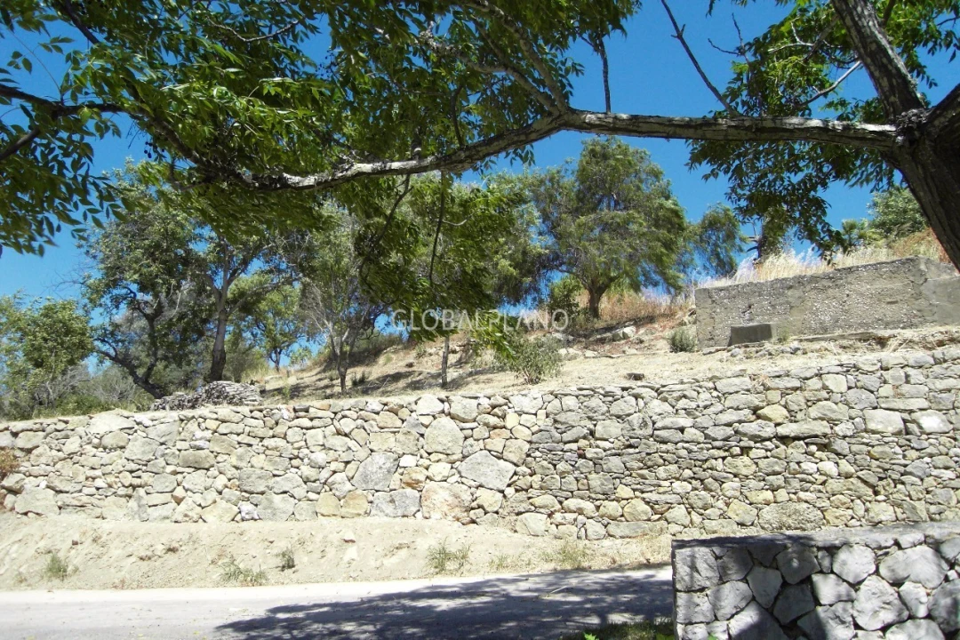 Terreno para Venda em Mexilhoeira Grande Foto 16