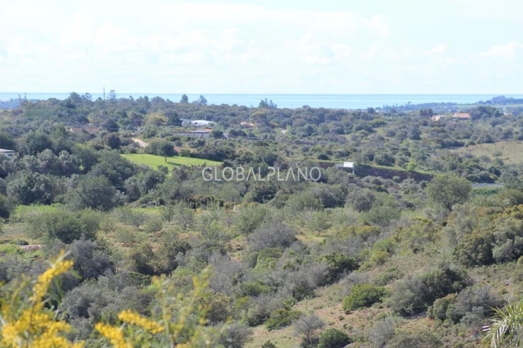 Terreno para Venda em Mexilhoeira Grande Foto 18