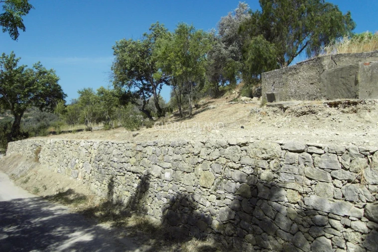 Terreno para Venda em Mexilhoeira Grande Foto 3