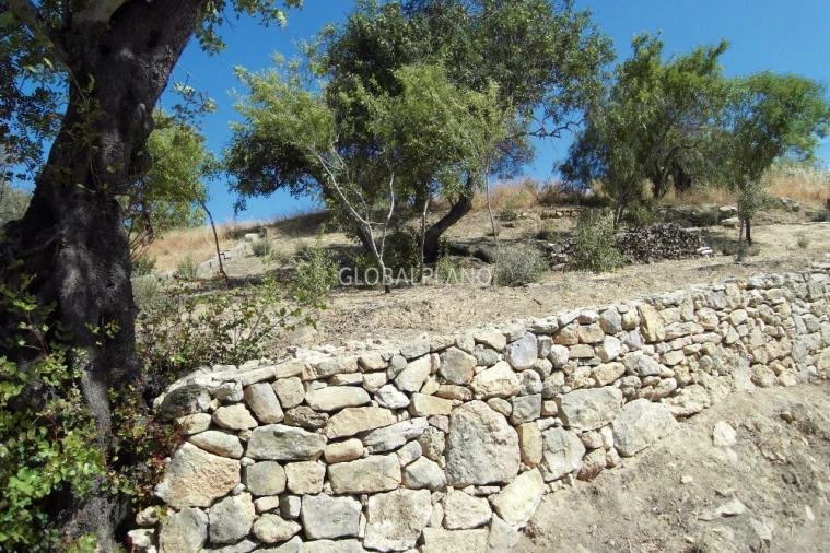 Terreno para Venda em Mexilhoeira Grande Foto 5