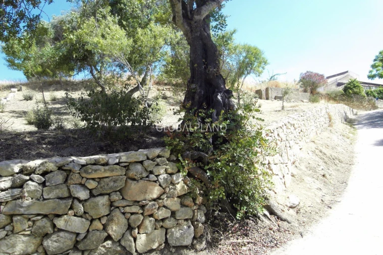 Terreno para Venda em Mexilhoeira Grande Foto 6