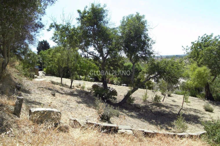 Terreno para Venda em Mexilhoeira Grande Foto 8