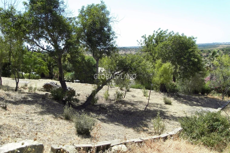 Terreno para Venda em Mexilhoeira Grande Foto 9