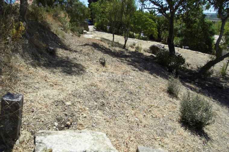 Terreno para Venda em Mexilhoeira Grande Foto 13