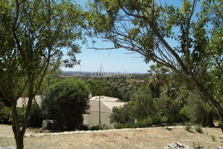 Terreno para Venda em Mexilhoeira Grande Foto 14