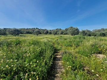 Terreno para Venda em Portimão