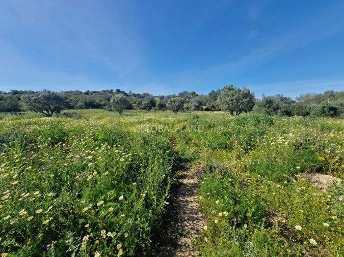 Terreno para Venda em Portimão Foto 8