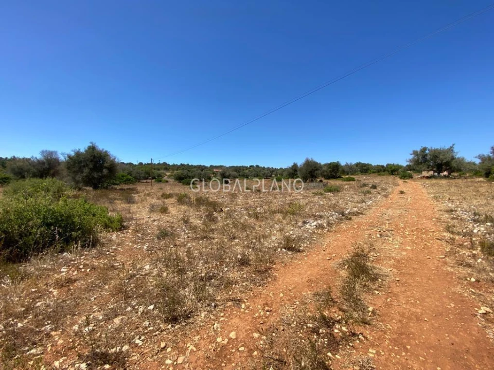 Terreno para Venda em Mexilhoeira Grande Foto 7