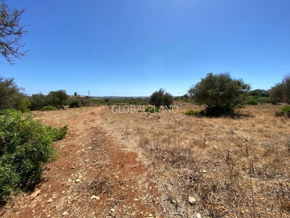 Terreno para Venda em Mexilhoeira Grande Foto 6