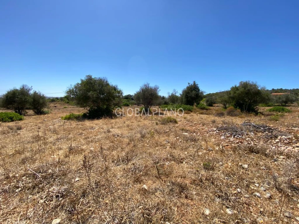 Terreno para Venda em Mexilhoeira Grande Foto 5