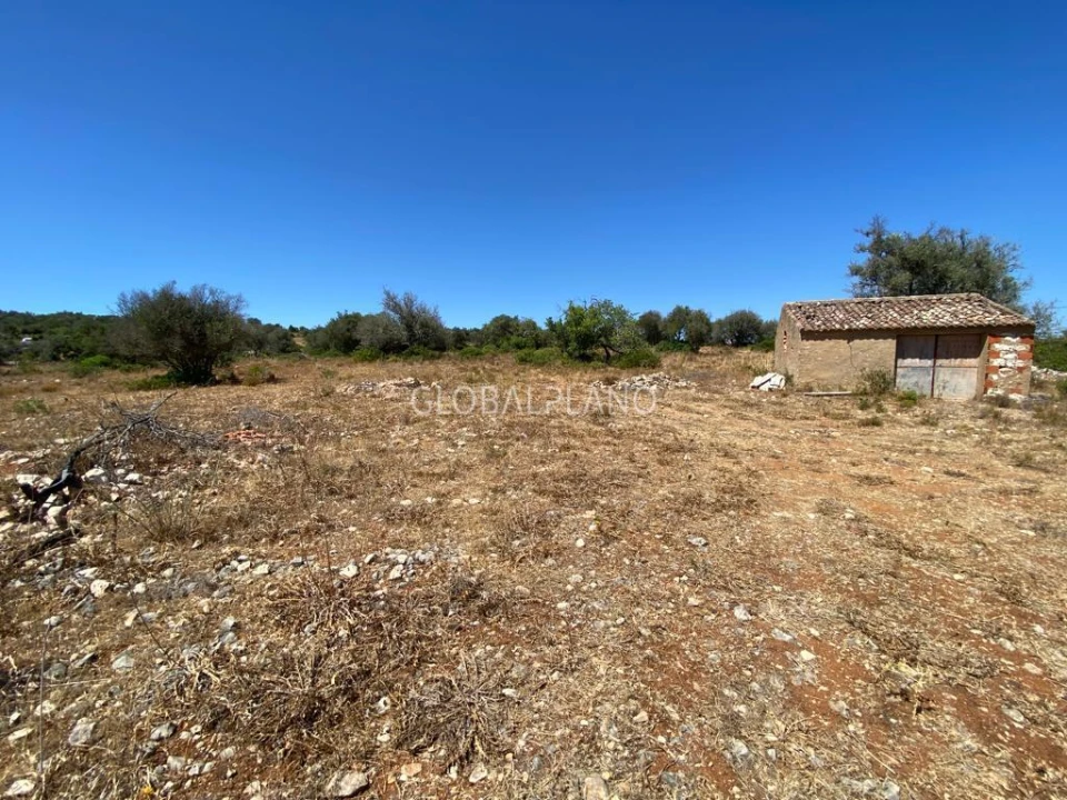 Terreno para Venda em Mexilhoeira Grande Foto 3