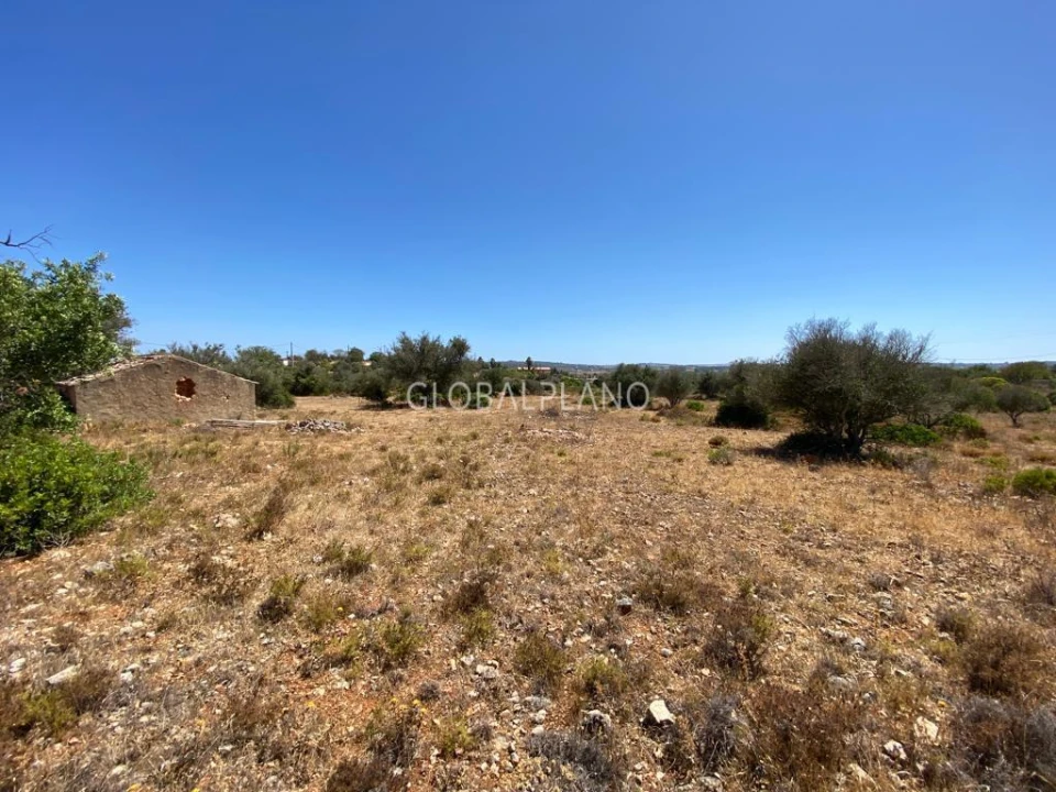 Terreno para Venda em Mexilhoeira Grande Foto 4