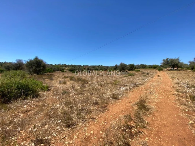 Terreno para Venda em Mexilhoeira Grande Foto 7