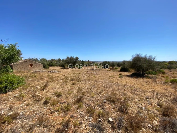 Terreno para Venda em Mexilhoeira Grande Foto 4