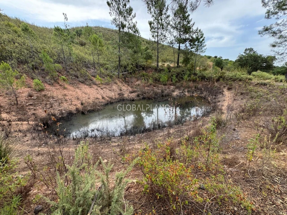 Terreno para Venda em Mexilhoeira Grande Foto 1
