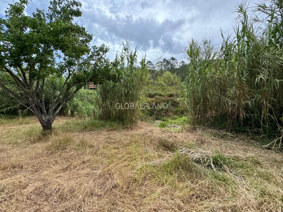 Terreno para Venda em Mexilhoeira Grande Foto 6