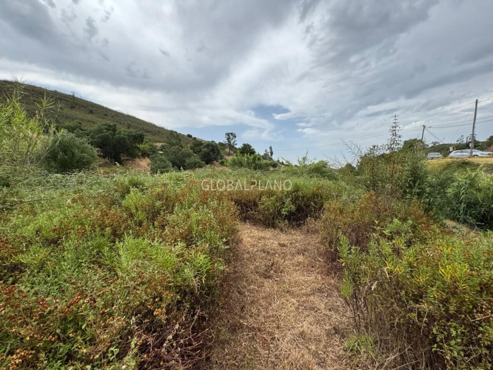 Terreno para Venda em Mexilhoeira Grande Foto 10