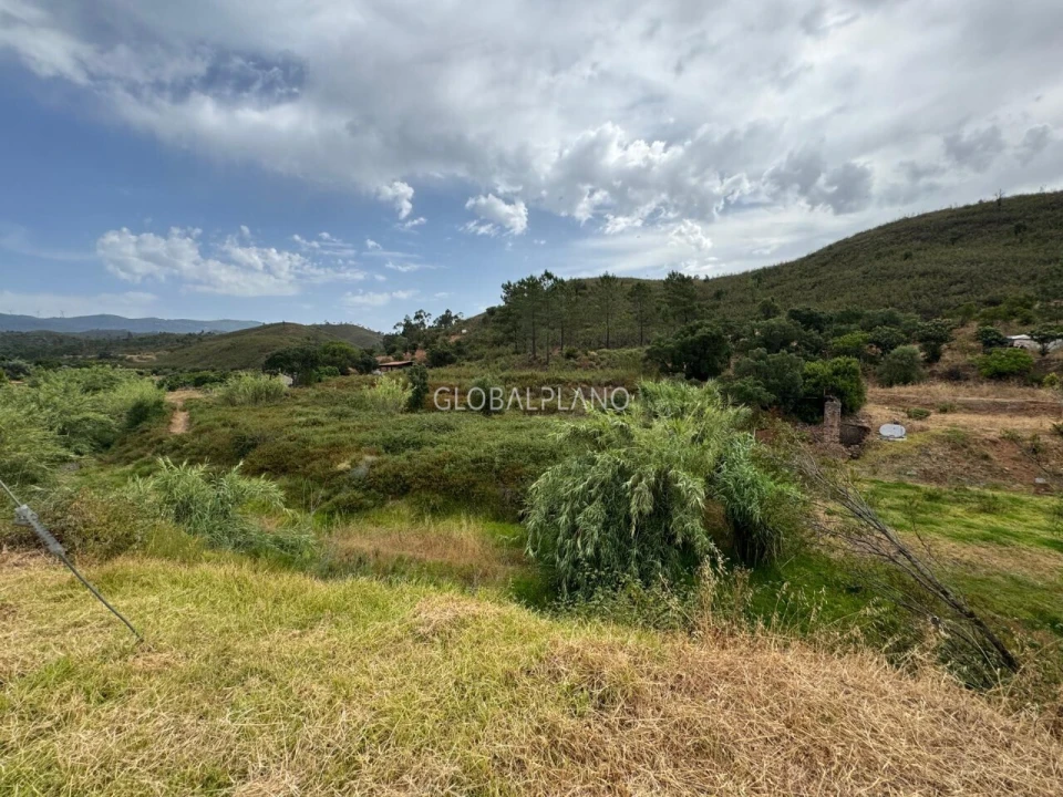 Terreno para Venda em Mexilhoeira Grande Foto 13