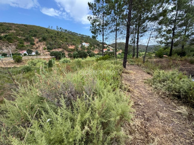 Terreno para Venda em Mexilhoeira Grande Foto 7