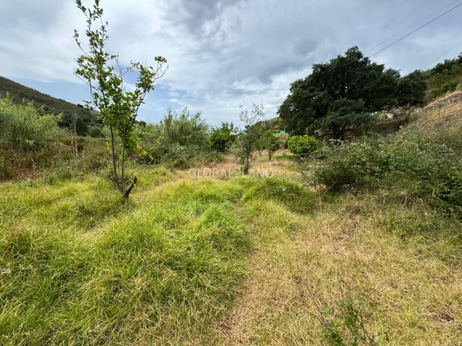 Terreno para Venda em Mexilhoeira Grande Foto 5