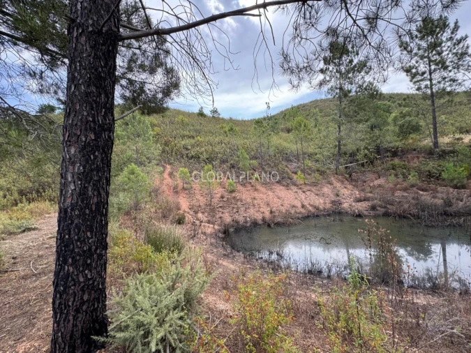 Terreno para Venda em Mexilhoeira Grande Foto 8
