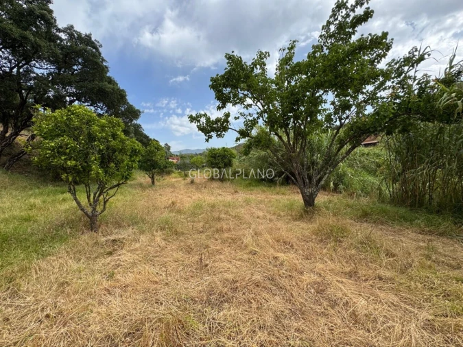 Terreno para Venda em Mexilhoeira Grande Foto 9