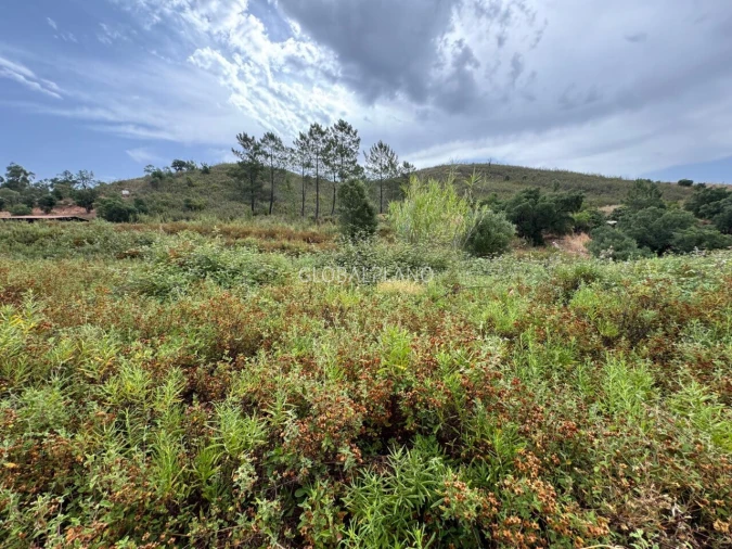 Terreno para Venda em Mexilhoeira Grande Foto 11