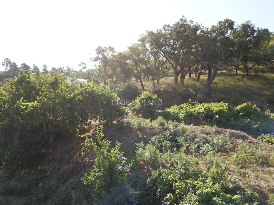 Moradia T3 para Venda em Monchique Foto 5