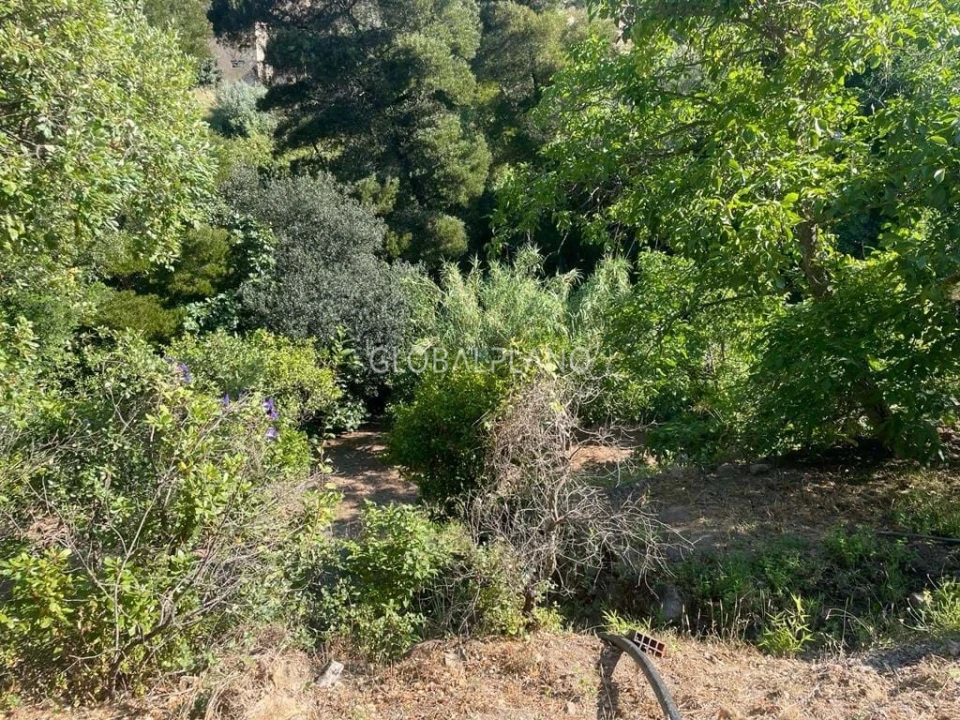 Moradia T3 para Venda em Monchique Foto 9