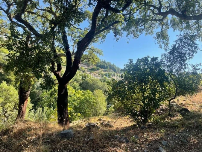 Moradia T3 para Venda em Monchique Foto 10