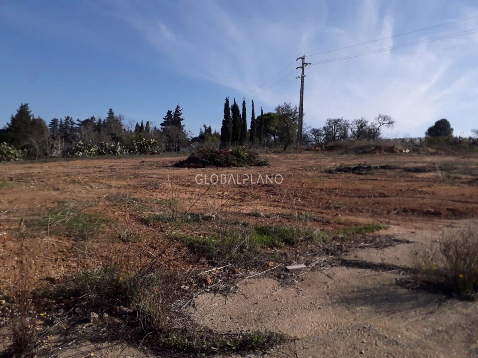 Terreno para Venda em Luz Foto 4