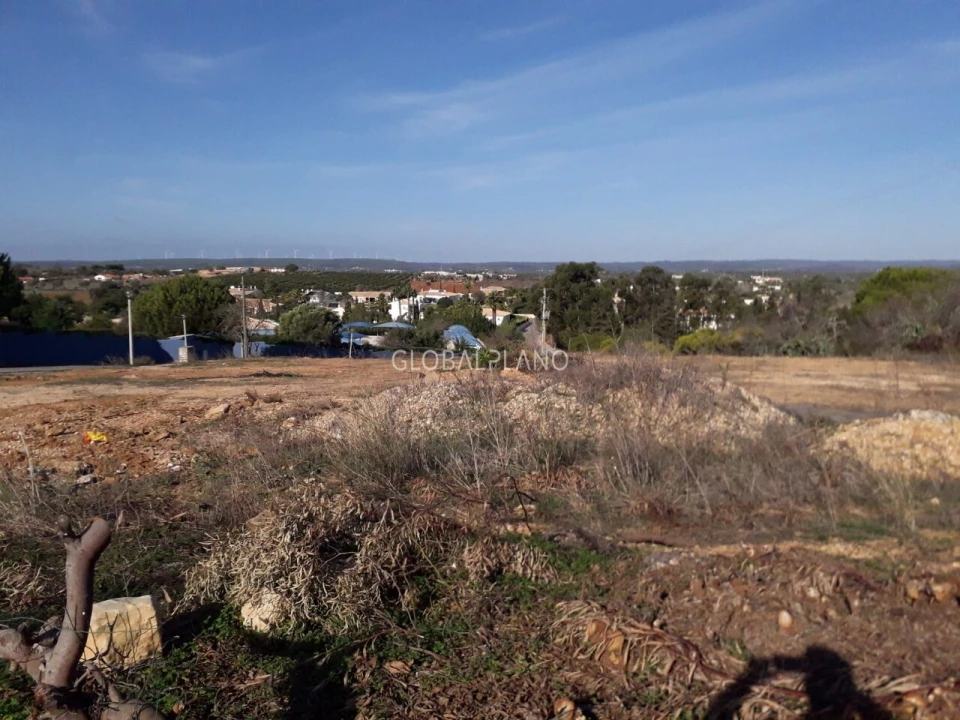 Terreno para Venda em Luz Foto 11