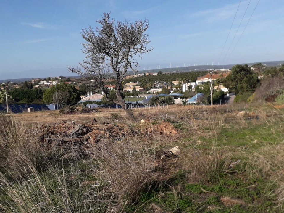 Terreno para Venda em Luz Foto 12