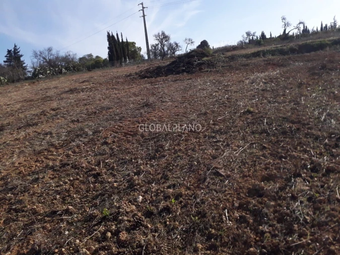 Terreno para Venda em Luz Foto 3