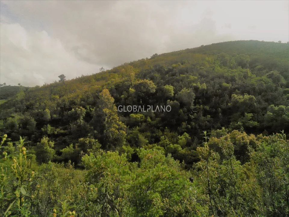 Terreno para Venda em Monchique Foto 1