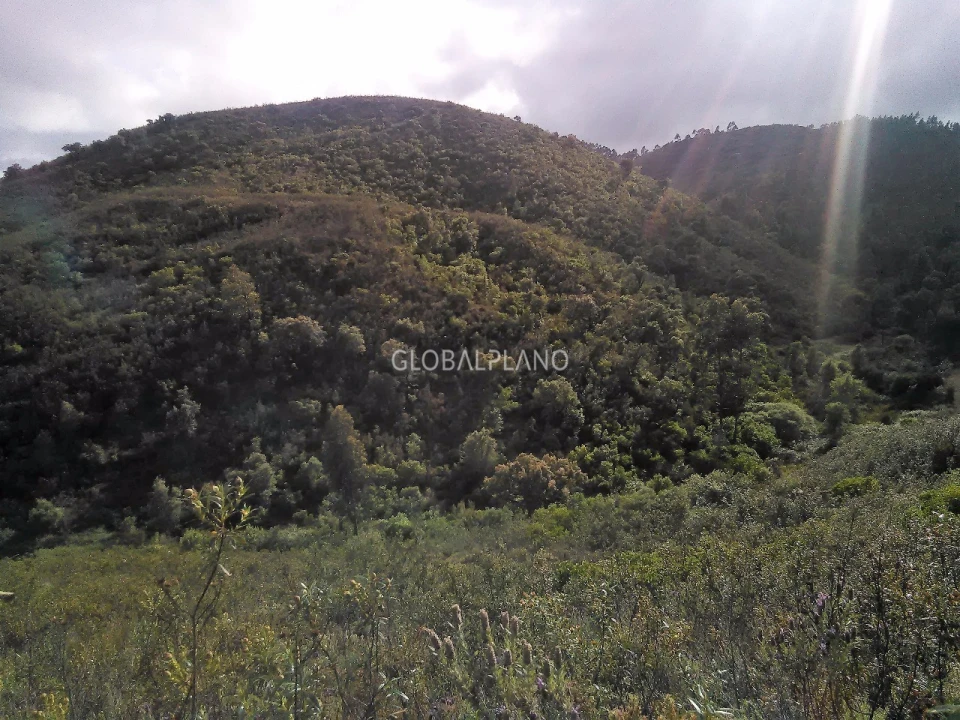 Terreno para Venda em Monchique Foto 6