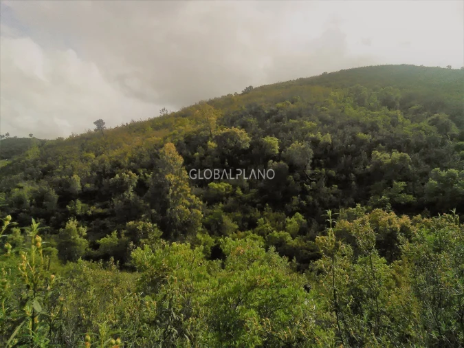 Terreno para Venda em Monchique