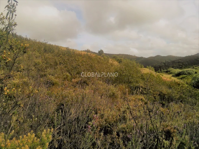 Terreno para Venda em Monchique Foto 2