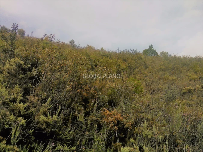 Terreno para Venda em Monchique Foto 3