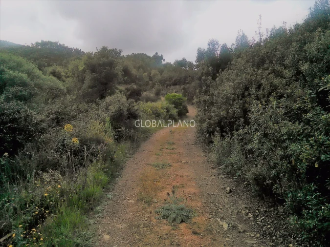 Terreno para Venda em Monchique Foto 4