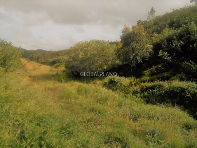 Terreno para Venda em Monchique Foto 5