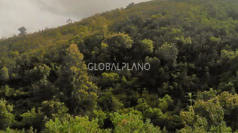 Terreno para Venda em Monchique