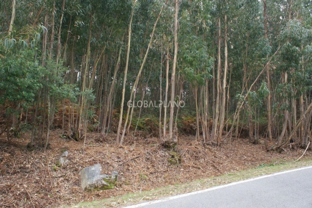 Terreno para Venda em Marmelete Foto 4