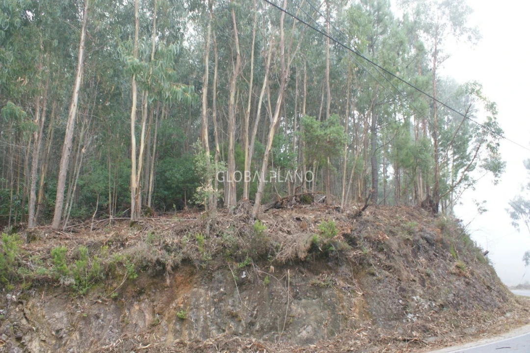 Terreno para Venda em Marmelete Foto 8